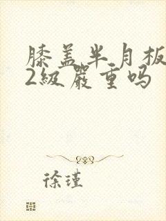 膝盖半月板损伤2级严重吗
