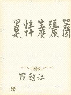 男性生殖器瘙痒是什么原因