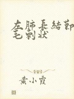 左肺长结节边缘毛刺状