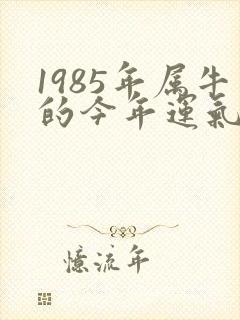 1985年属牛的今年运气怎么样封面