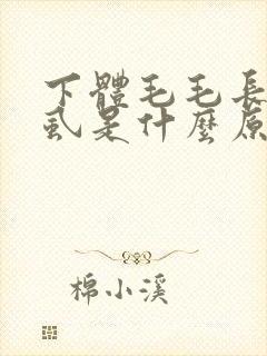 下体毛毛长了阴虱是什么原因引起的