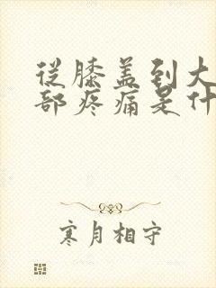 从膝盖到大腿根部疼痛是什么原因封面