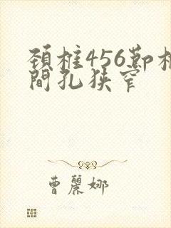 颈椎456节椎间孔狭窄