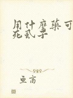 用什么药可以杀死虱子封面