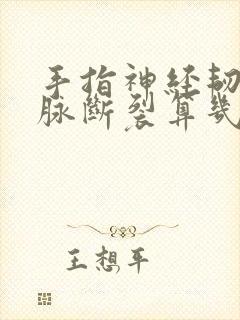 手指神经韧带动脉断裂算几级伤残