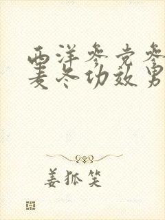 西洋参党参黄芪麦冬功效男士