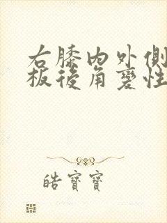 右膝内外侧半月板后角变性封面