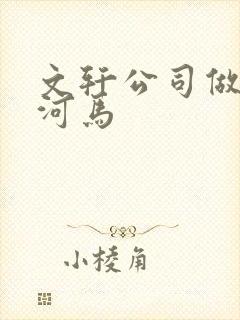 文轩公司做扩张河马