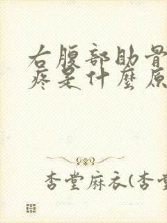 右腹部助骨下方疼是什么原因封面