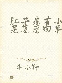 肚子痒有小疙瘩是怎么回事