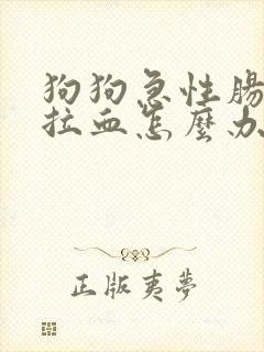 狗狗急性肠胃炎拉血怎么办