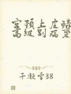 宫颈上皮鳞状内高级别病变