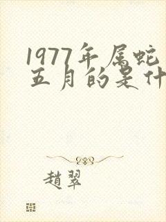 1977年属蛇五月的是什么命