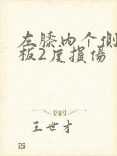 左膝内个侧半月板2度损伤