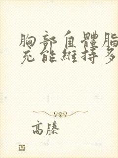 胸部自体脂肪填充能维持多久