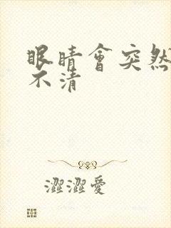 眼睛会突然模糊不清封面