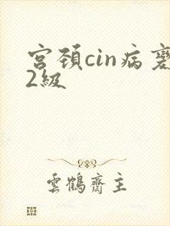 宫颈cin病变2级封面