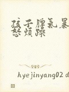 孩子脾气暴躁易怒烦躁