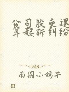 公司股东退股清算起诉纠纷律师咨询