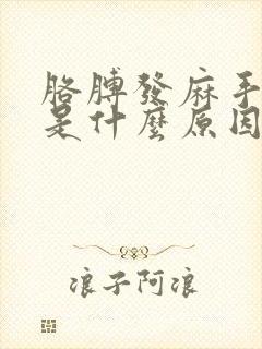 胳膊发麻手发麻是什么原因造成的