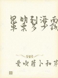 昆明到海南大巴车票多少钱