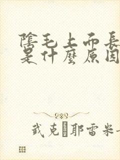 阴毛上面长阴虱是什么原因封面