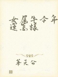 女属牛今年的财运怎样
