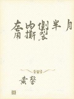 左内侧半月板后角撕裂