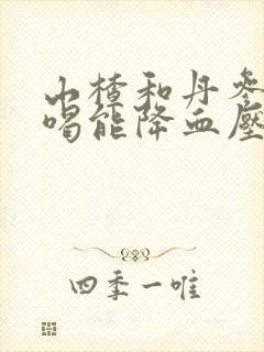 山楂和丹参泡水喝能降血压吗