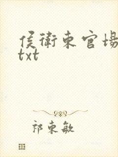 侯卫东官场笔记txt