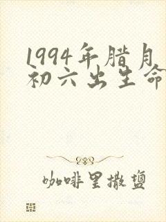 1994年腊月初六出生命运
