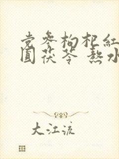 党参枸杞红枣桂圆茯苓 熬水比例