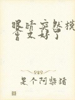 眼睛突然模糊一会又好了