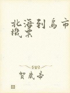 北海到乌市特价机票封面