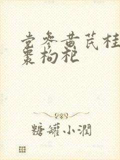 党参黄芪桂圆红枣枸杞