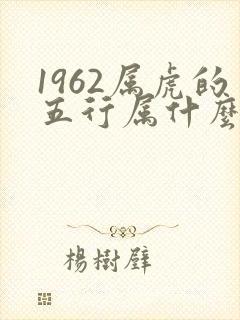 1962属虎的五行属什么命封面