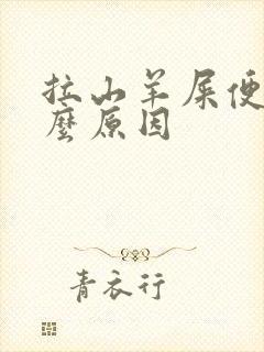 拉山羊屎便是什么原因