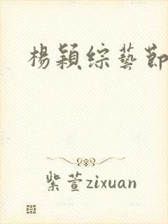 杨颖综艺节目