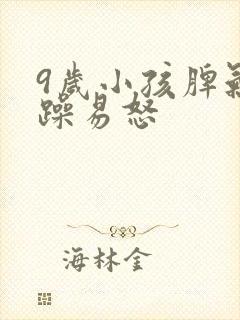 9岁小孩脾气暴躁易怒封面