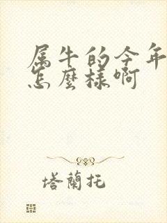 属牛的今年财运怎么样啊