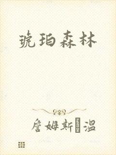 琥珀森林封面