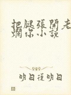 把腿张开老子臊烂你小说