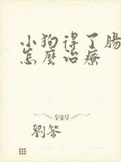 小狗得了肠胃炎怎么治疗封面