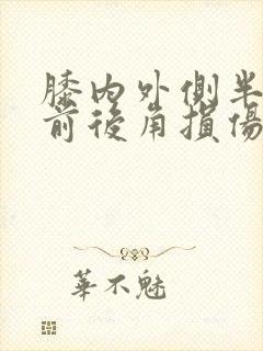膝内外侧半月板前后角损伤封面