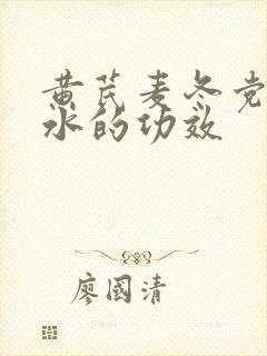 黄芪麦冬党参煮水的功效