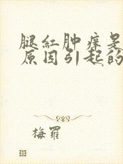腿红肿痒是什么原因引起的