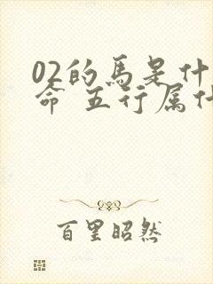 02的马是什么命 五行属什么