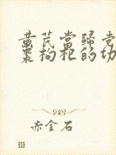 黄芪当归党参红枣枸杞的功效及作用