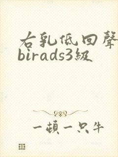右乳低回声结节birads3级