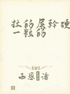 拉的屎干硬一粒一粒的